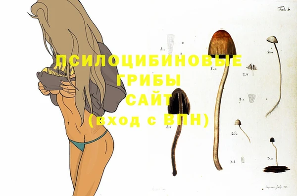 стафф Алексин